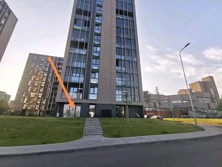 1000012536