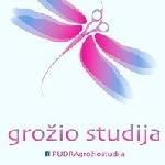 PUDRA grožio studija